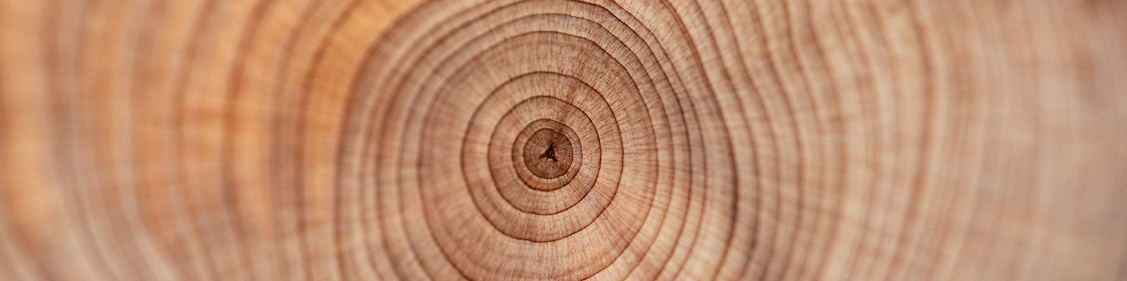 5 Reasons Why Sandalwood Is Good for Your Skin?