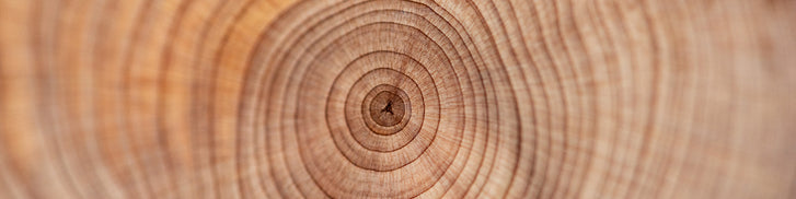 5 Reasons Why Sandalwood Is Good for Your Skin?