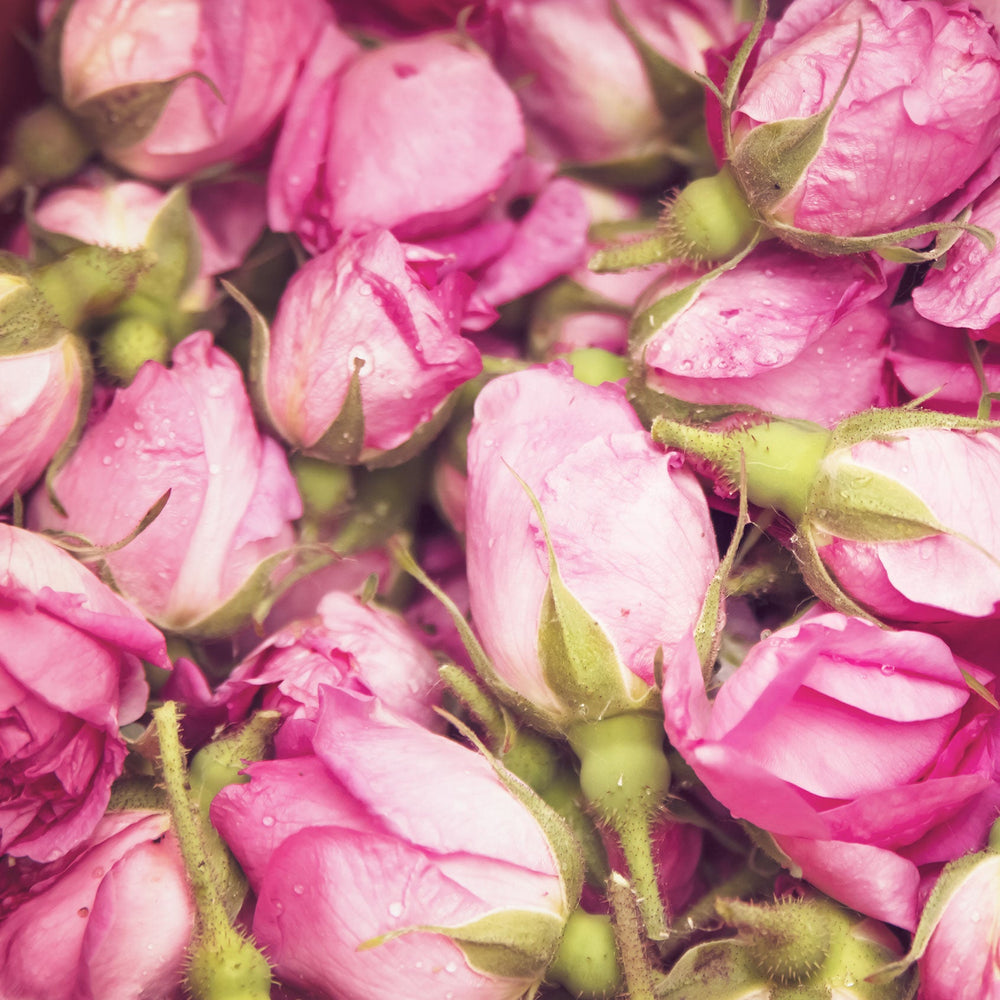 Hasayan Damask Rose Oil